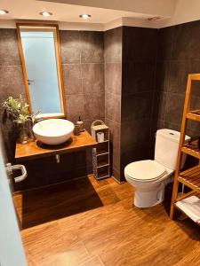 La salle de bains est pourvue d'un lavabo et de toilettes. dans l'établissement Luminoso y Céntrico Estudio, Llívia, Cerdanya, à Llívia