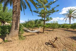 Ogród w obiekcie Finca Son Ramon Llull