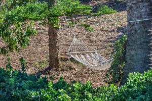 Ogród w obiekcie Finca Son Ramon Llull