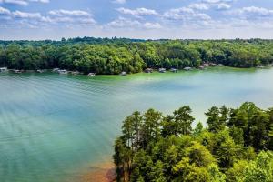 Una vista aérea de un lago con barcos y árboles. en Just For Kicks, en Gainesville