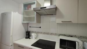 Kuchyň nebo kuchyňský kout v ubytování Apartamentos Séneca junto al Centro