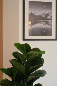 roślina w pokoju z obrazem na ścianie w obiekcie Central & 1 min walk to the sea! "The Gallery" Apartment, Sliema w mieście Sliema
