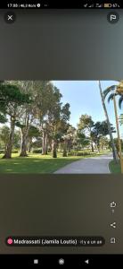 ein Bild eines Parks mit einer Palme in der Unterkunft Appartement Complète à Tanja balia proche de la mer in Tangier