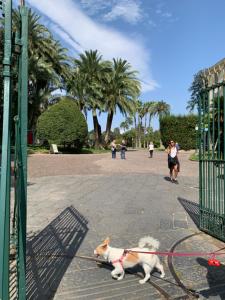 a dog on a leash tied to a gate at Casa Vacanze - Capodimonte - Centro di Napoli in Naples