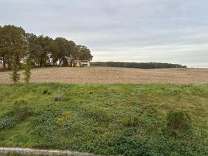 an empty field with a house in the distance at Stary Folwark Machnice in Machnice