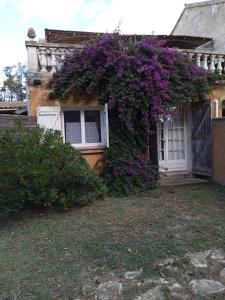 ein Haus mit lila Blumen auf der Seite in der Unterkunft Mas Maurane - Le Bougainvillier aux portes d'ARLES in Tarascon