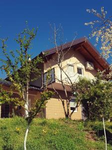 ein Haus mit einem Baum davor in der Unterkunft VA Vikendica in Tešanj