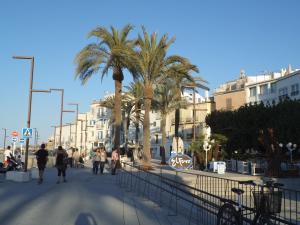 a group of people walking down a street with palm trees at Casa de Huespedes la Peña in Ibiza Town