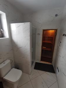 a white bathroom with a toilet and a shower at Rodinná Rezidence Žihobce - prázdninový dům in Žihobce