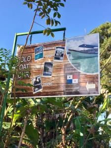 a sign hanging from a tree with pictures on it at Hostal Familiar Rolo in Santa Catalina