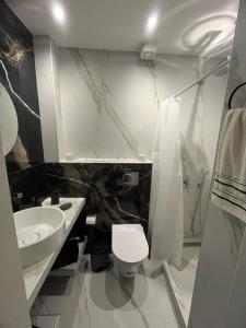 a bathroom with a sink and a toilet and a shower at Kalis apartment in Agia Triada