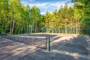 una pista de tenis con una red frente a los árboles en Mersey River Chalets a nature retreat, en Caledonia