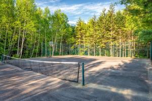 a tennis court with a net in front of trees at Mersey River Chalets a nature retreat in Caledonia