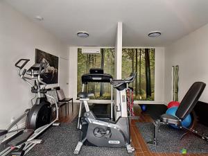 Fitness centrum a/nebo fitness zařízení v ubytování Condo-hôtel Le Champlain - Condo103 Bromont