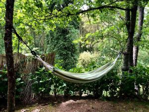 a hammock hanging from a tree in a forest at Quinta Lamosa Agroturismo in Arcos de Valdevez