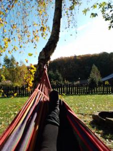 a person laying on a hammock under a tree at Małopolskie Swojskie in Olszyny