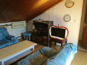 布德瓦Guest House Vila Bak的带沙发和电脑显示器的客厅