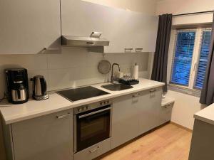 una cucina con lavandino e piano cottura forno superiore di Apartment in Potsdam-Babelsberg a Potsdam
