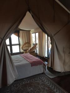 ein Schlafzimmer mit einem Bett in einem Zelt in der Unterkunft Out in Africa Wildlife Lodge in Dinokeng Game Reserve
