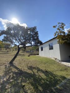 a tree in a field next to a building at Chalés Paradise - Casal in Serra do Cipo
