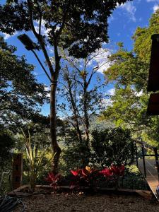 Zahrada ubytování Entremonte Cabañas