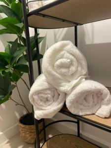 2 toallas en un toallero con una planta en Modern Spacious Apartment, en Entroncamento