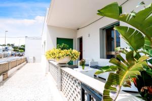 CampomarinoにあるCasa Danteの植物と花のバルコニー