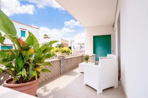 un balcón con plantas y sillas en un edificio en Casa Dante, en Campomarino