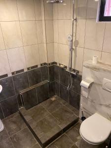 uma casa de banho com um chuveiro e um WC. em Hotel RITZZ em Paramaribo