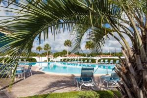 - une piscine avec des chaises et un palmier dans l'établissement Ocean and Racquet 8208, à Saint Augustine