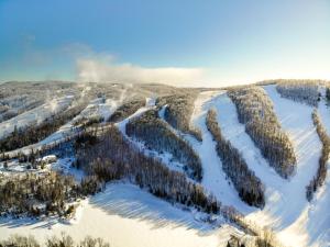 an aerial view of a snow covered mountain with trees at Mont Blanc Hôtel & Condos in Mont-Blanc
