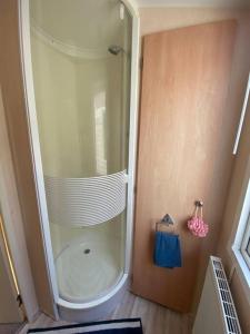 eine Dusche im Bad mit Glastür in der Unterkunft Houseboat Praha Marina 1 in Prag