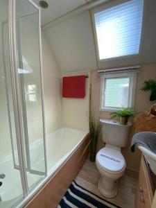 ein Badezimmer mit einer Dusche, einem WC und einer Badewanne in der Unterkunft Houseboat Praha Marina 1 in Prag