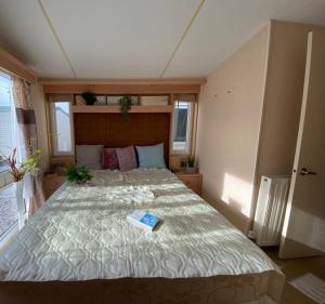 布拉格的住宿－Houseboat Praha Marina 1，一间卧室配有一张大床,上面有书