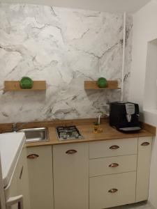 a kitchen with a counter top with a marble wall at Ame Farmec in Cluj-Napoca