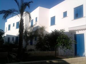 ein weißes Gebäude mit einer Palme davor in der Unterkunft Orsolinda Favignana in Favignana