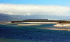 صورة لـ Sand Piper في Netarts