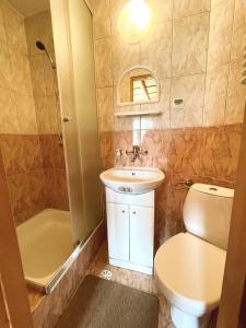 a bathroom with a sink and a toilet and a shower at Anna i Franciszek Żegleń Maćkulok in Male Ciche