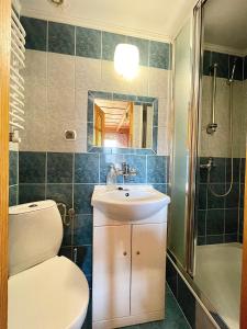 Un baño con inodoro, lavabo y ducha. en Anna i Franciszek Żegleń Maćkulok, en Małe Ciche
