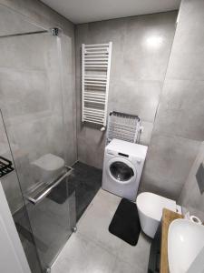 a bathroom with a washing machine and a toilet at Kurze Gniazdo Kurzętnik in Kurzętnik