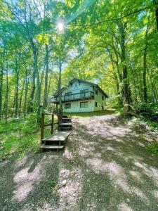 a large house in the middle of a forest at Mountain Top Chalet ~ Ski In Out ~ Fully Updated in Bessemer