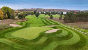 ボイン・シティにあるDeer Lake Villa Bldg. #4の緑のゴルフ場の空中を望む