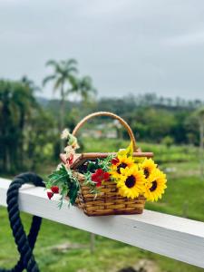 una cesta llena de girasoles sentada en un banco en Inativo, en Camboriú