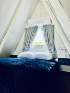 1 dormitorio con cama azul y ventana en Inativo, en Camboriú
