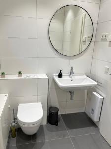 a bathroom with a toilet and a sink and a mirror at Landhaus 918 in Koosbüsch