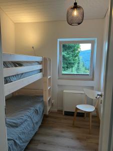 a bedroom with a bunk bed and a window at Landhaus 918 in Koosbüsch