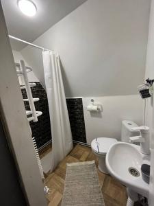La salle de bains est pourvue de toilettes blanches et d'un lavabo. dans l'établissement A frame house Kryvorivnia, à Verkhniy Yasenov