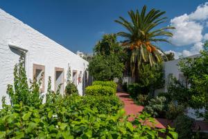 un bâtiment blanc avec un palmier et des plantes dans l'établissement Le Hammamet Hotel & SPA, à Hammamet