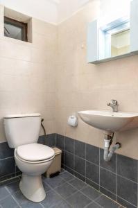 a bathroom with a toilet and a sink at Arachova's Experience Guesthouse in Arachova