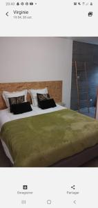 1 dormitorio con 1 cama grande con manta verde en Chambre Cocooning, en Beauvoisin